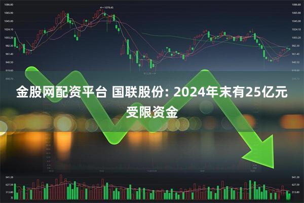 金股网配资平台 国联股份: 2024年末有25亿元受限资金