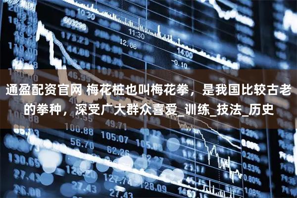 通盈配资官网 梅花桩也叫梅花拳，是我国比较古老的拳种，深受广大群众喜爱_训练_技法_历史