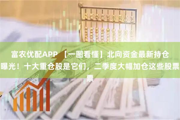 富农优配APP 【一图看懂】北向资金最新持仓曝光！十大重仓股是它们，二季度大幅加仓这些股票