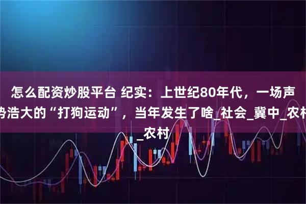 怎么配资炒股平台 纪实：上世纪80年代，一场声势浩大的“打狗运动”，当年发生了啥_社会_冀中_农村